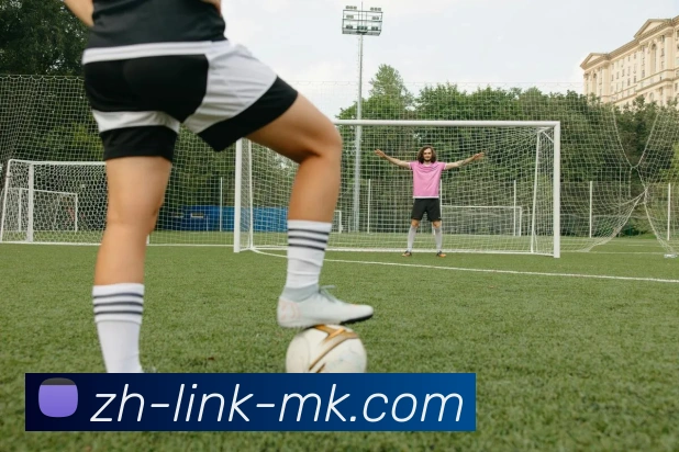 MK体育服务体系